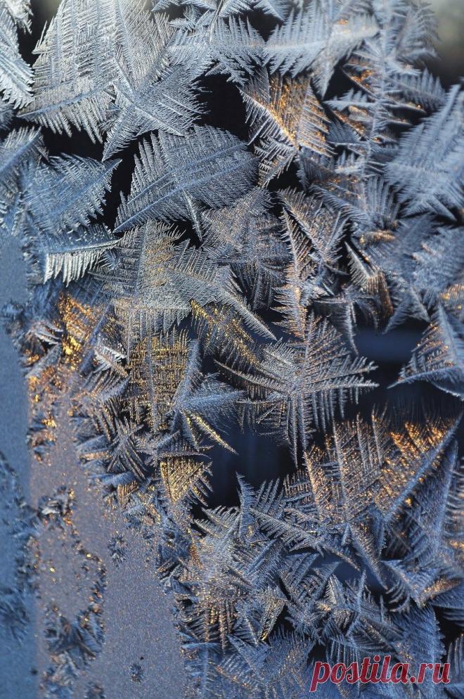 Фотография Случайность из раздела макро №5739398 - фото.сайт - Photosight.ru