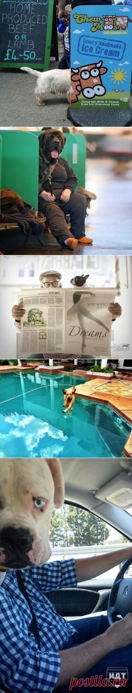 Кадры сделанные в нужный момент. Часть 2 | Позитив