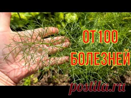 Ещё прабабка говорила" ВМИГ ПОМОЖЕТ", кишечник наладит, сердце успокоит.