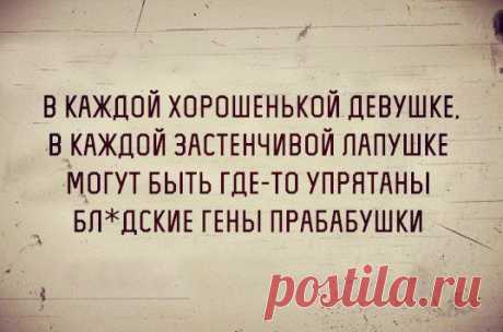 Новости