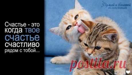 Счастье