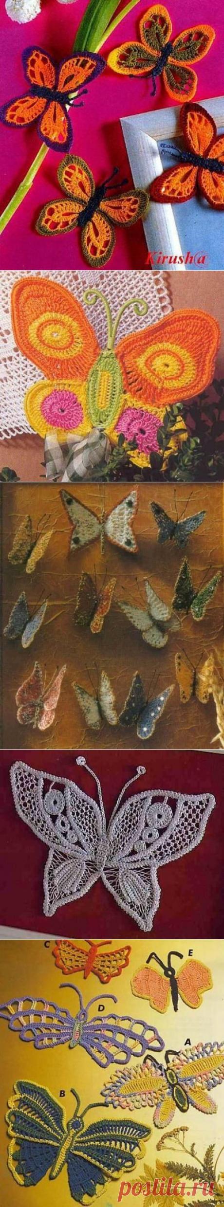 Бабочки крючком (коллекция).