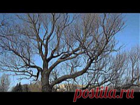 Как «разом» избавиться от всех жизненных проблем, или Ритуал 15 свечей | МИСТИКА В ЖИЗНИ