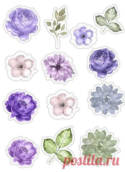 (115) Pinterest