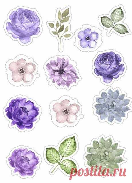 (115) Pinterest