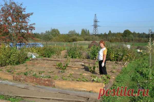 Всё что не делали, всё к лучшему! 
Однажды я поняла, что что-то в жизни идет не в ногу с природой. Мы ведём здоровый образ жизни и придерживаемся принципа: «Чисто не там где убирают, а там где не сорят».
А как же наше детище – цветник…
