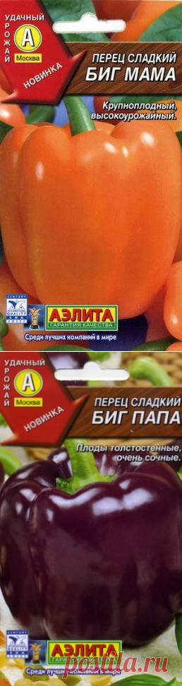 Лучшие сорта сладкого перца с фото и описанием - Люблю свой сад