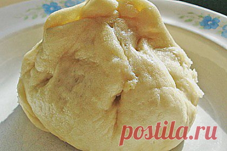 Baozi (Rezept mit Bild) von darph | Chefkoch.de