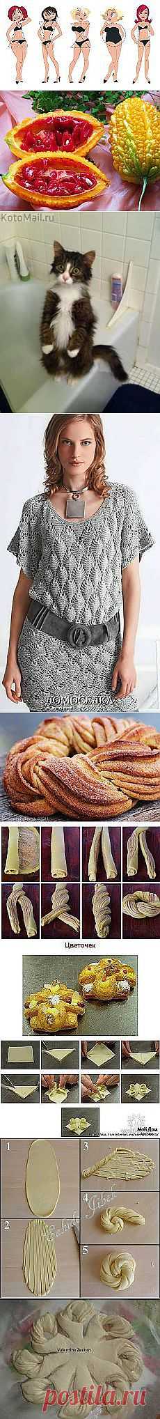 Входящие - asemmedet@mail.ru - Почта Mail.Ru
