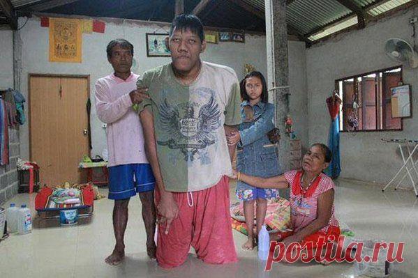 LoNostro.info в Твиттере: «Pornchai Saosri: Fallece a los 26 años el hombre más alto del mundo https://t.co/AnFXgoqw13 https://t.co/SDlrSAPC57»