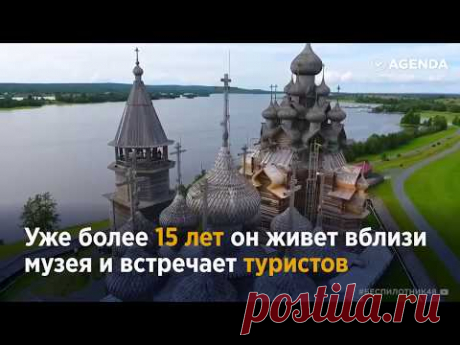 История кота Кеши из Кижей