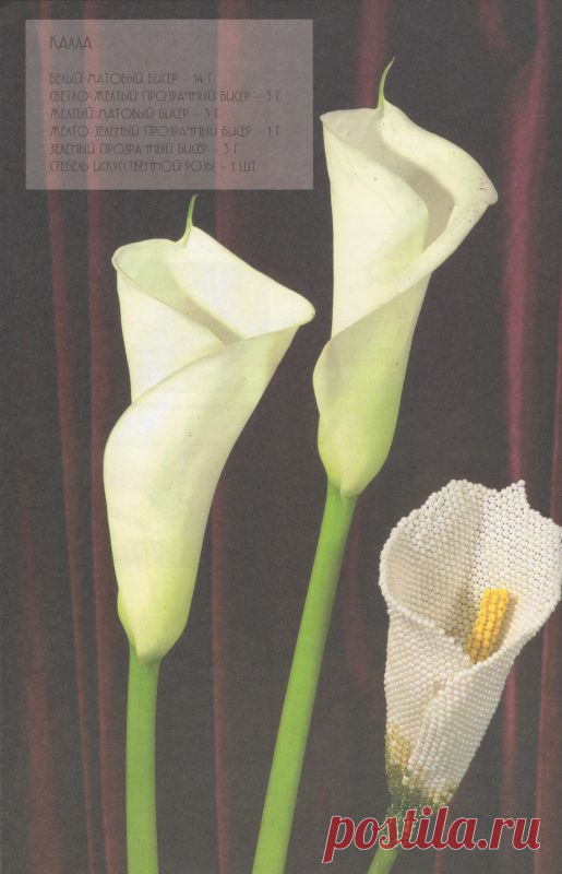 Калла из бисера мастер класс. Бисероплетение цветы схемы бесплатно | Все о рукоделии: схемы, мастер классы, идеи на сайте labhousehold.com