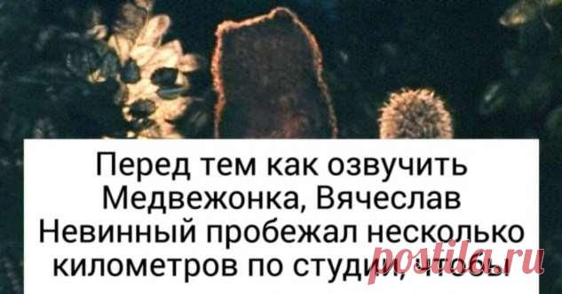 Как снимали «Ежика в тумане» — мультфильм, который признали лучшим анимационным фильмом всех времен и народов . Милая Я