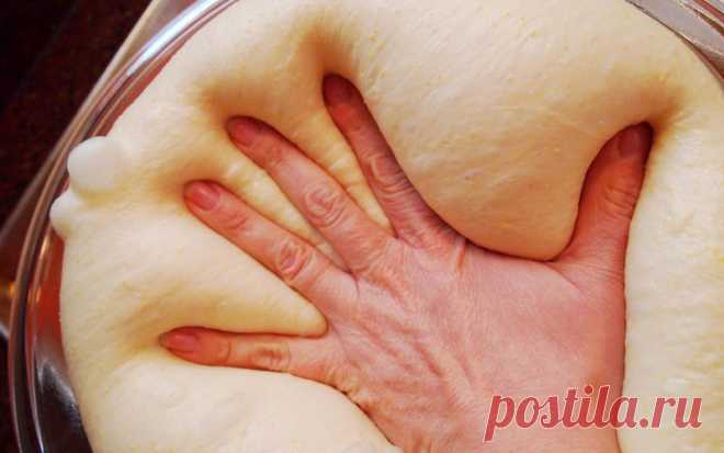Что нужно для того, чтобы сделать тесто идеальным .
