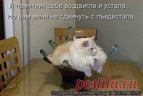 Dada приколол(а) это к доске Koтоматрица
