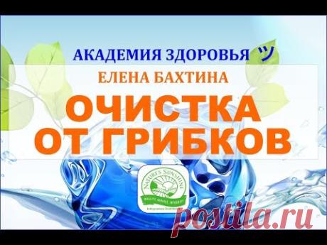 Грибки и паразиты (Candida, кандида). Как избавиться. Методы очистки. Елена Бахтина