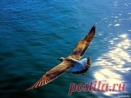 Перемены происходят лишь тогда, когда мы идем против того к чему привыкли.