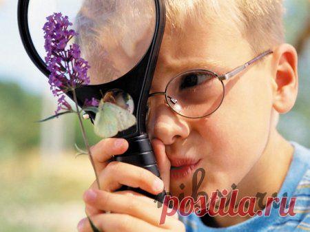 20 ПРИЗНАКОВ ГЕНИАЛЬНОСТИ РЕБЕНКА » HAPPY WOMAN