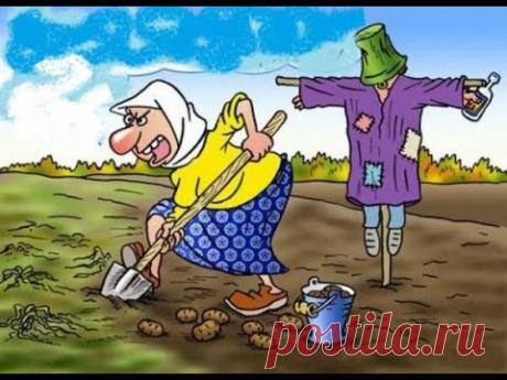 ДЛЯ ХОРОШЕГО НАСТРОЕНИЯ шутливый стих Эвелины Пиженко💕ЖИЛИ В ДОМЕ,ПОД ГОРОЮ💕читает НАДЕЖДА ФЕСАЙ