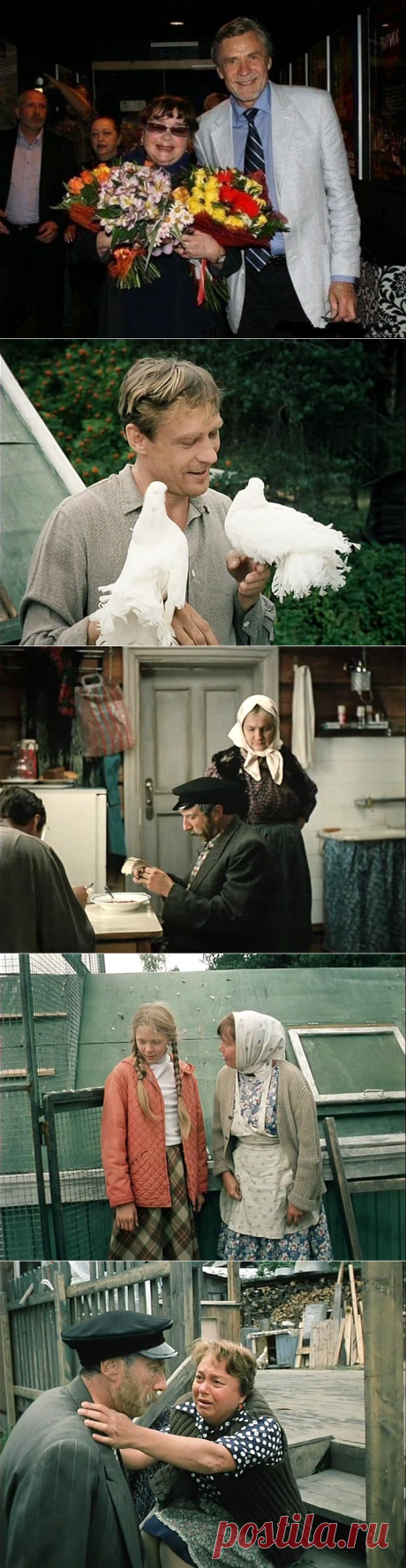 Любовь и голуби.