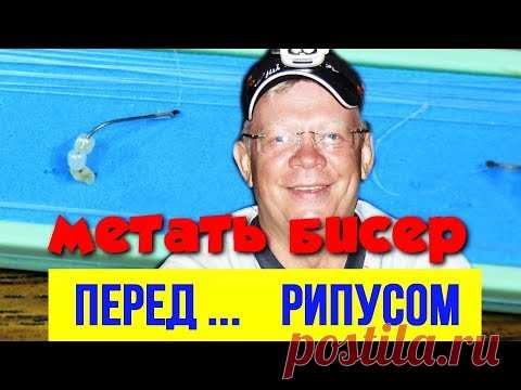 Метать бисер перед рипусом  Ловля рипуса на искусственные насадки