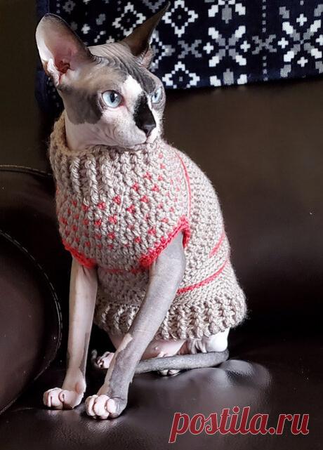 7 вязаных нарядов для вашего кота | Начни вязать! | Дзен