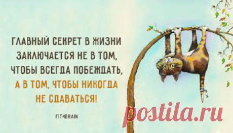 Ежедневный образ жизни https://www.doctorate.ru/obraz-zhizni-dla-zdorvja/