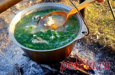 Уха по-царски / Богатая добыча