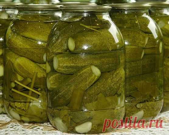 Вкусные хрустящие огурцы.