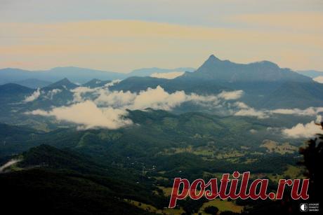 Национальный парк Спрингбрук в Австралии - Путешествуем вместе