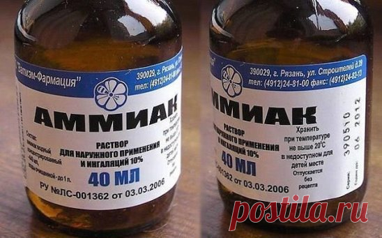 Нашатырный спирт - семь бед, один ответ! 
А вы знали что нашатырный спирт прекрасно справляется с насекомыми, вредителями и помогает комнатным растениям? Он может вернуть пяточкам детскую мягкость, а так же отлично отмыть ваши окна и отбелить белье? 
Нашатырный спирт: применение против насекомых. 
Иногда просто нет сил бороться с муравьями, которые бесконечными чередками появляются на кухне неизвестно откуда. Здесь тоже поможет нашатырный спирт! 
Надо добавить в 1 л воды 100 мл нашатыря и пр