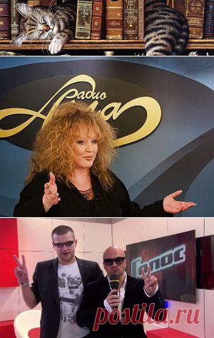 Звезды никогда не сходят на землю! | Литературная гостиная Елены Полярной Как написать книгу?
Если Ваш герой мега-звезда, то он должен думать и говорить, как звезда. Спасибо Алле за урок!