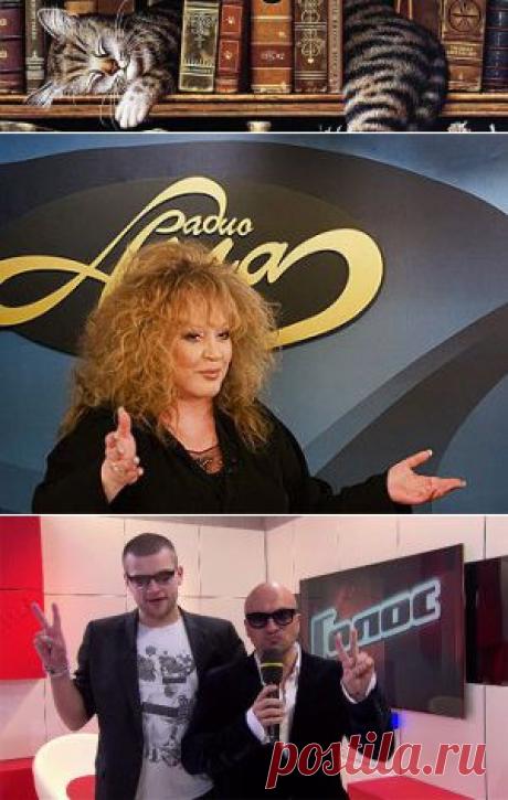 Звезды никогда не сходят на землю! | Литературная гостиная Елены Полярной Как написать книгу?
Если Ваш герой мега-звезда, то он должен думать и говорить, как звезда. Спасибо Алле за урок!