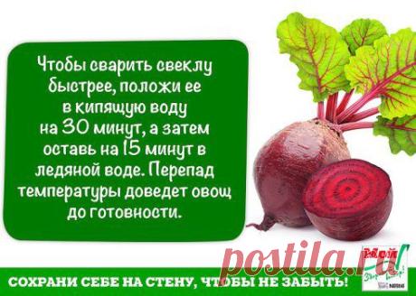 Попробуйте сами!