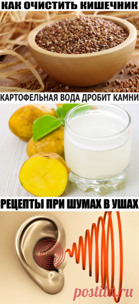 (1) Одноклассники