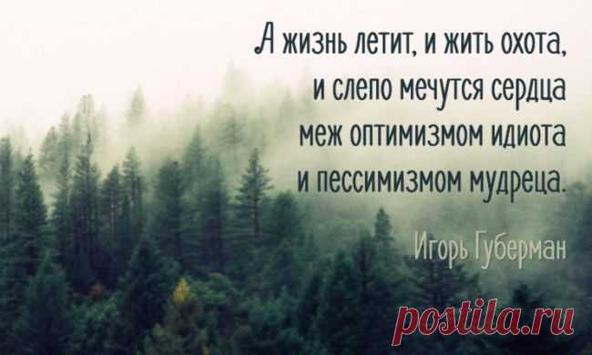 20 «гариков», с которыми невозможно не согласиться