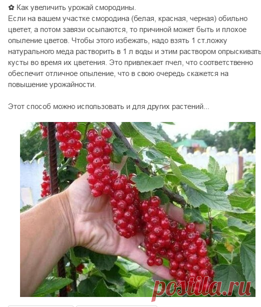 Мой Мир@Mail.Ru