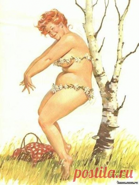 Мой блог: Хильда - очаровательная толстушка