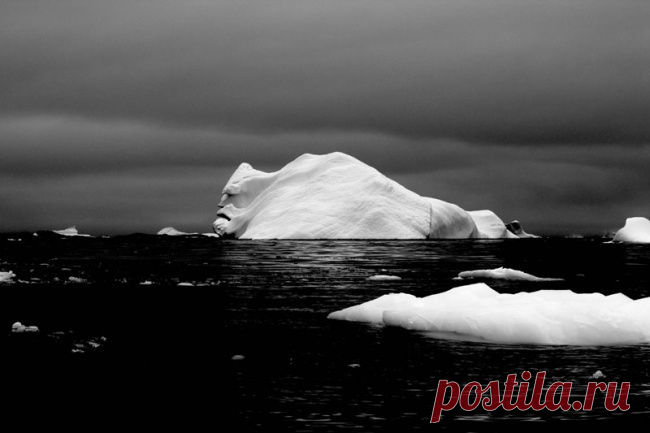 100 лучших фотографий года / Surfingbird - все, что интересно тебе
