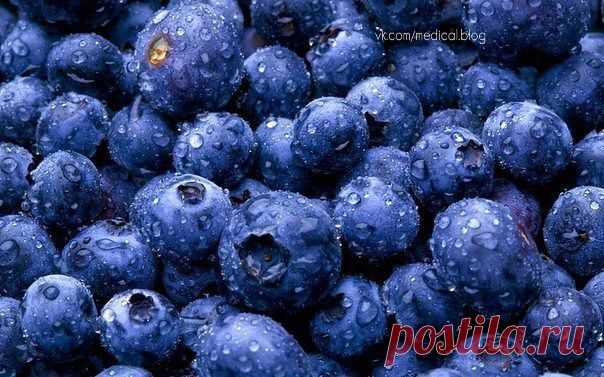 ТОП 10 Самых полезных продуктов для продления жизни. | thePO.ST