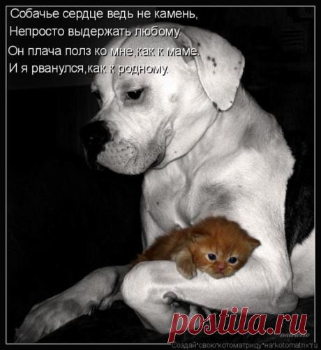 Счастье...(часть 2)