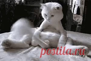 Одноклассники