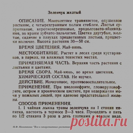 Зеленчук желтый