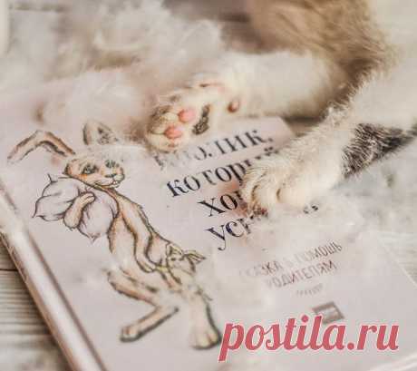 Перед тем как сказать ребенку «Спокойной ночи», задайте ему один-два вопроса из нашего списка. Как правило, в течение дня у нас ни на что не хватает времени, и мы ограничиваемся просьбами или приказами: «сделай», «не забудь», «поправь». «Вопросы под подушкой» помогут начать разговор по душам с сыном или дочерью и узнать о ребенке много нового. - О чем ты любишь мечтать? - Кто твой герой и почему? - Если бы ты мог что-то поменять в себе, что бы ты изменил? - За что ты собой больше всего…