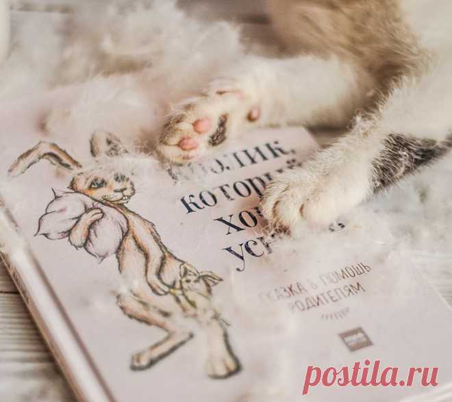 Перед тем как сказать ребенку «Спокойной ночи», задайте ему один-два вопроса из нашего списка. Как правило, в течение дня у нас ни на что не хватает времени, и мы ограничиваемся просьбами или приказами: «сделай», «не забудь», «поправь». «Вопросы под подушкой» помогут начать разговор по душам с сыном или дочерью и узнать о ребенке много нового. - О чем ты любишь мечтать? - Кто твой герой и почему? - Если бы ты мог что-то поменять в себе, что бы ты изменил? - За что ты собой больше всего…