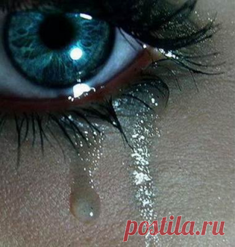 Слёзы душат (хокку) - МЫСЛЕННОСТИ