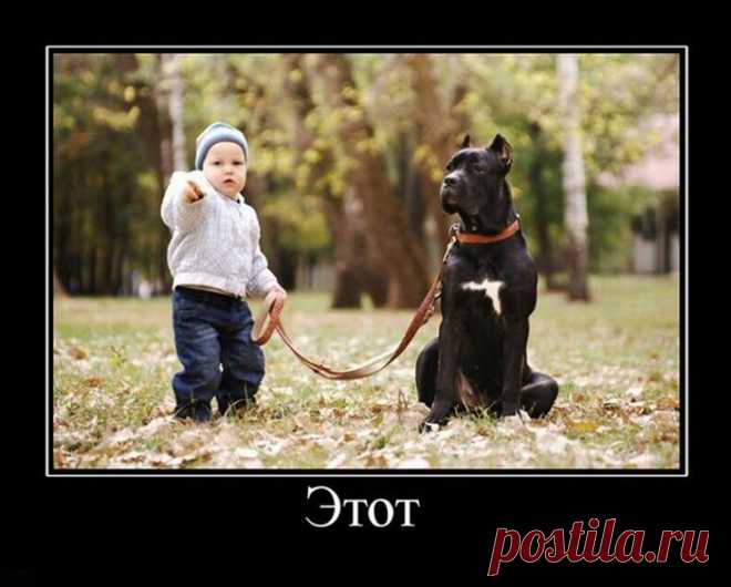 Фото-приколы и демотиваторы