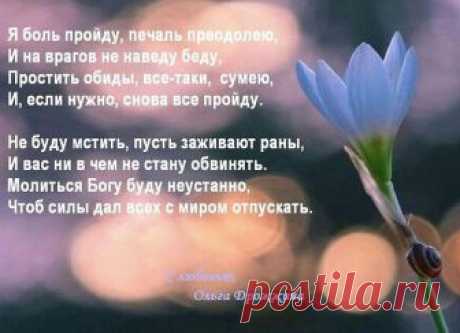 Я боль пройду... | Ольга Дрожжина | христианские стихи