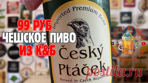 В Красное&Белое появилось новое чешское пиво. Обзор! | С Миру по Пиву! | Дзен