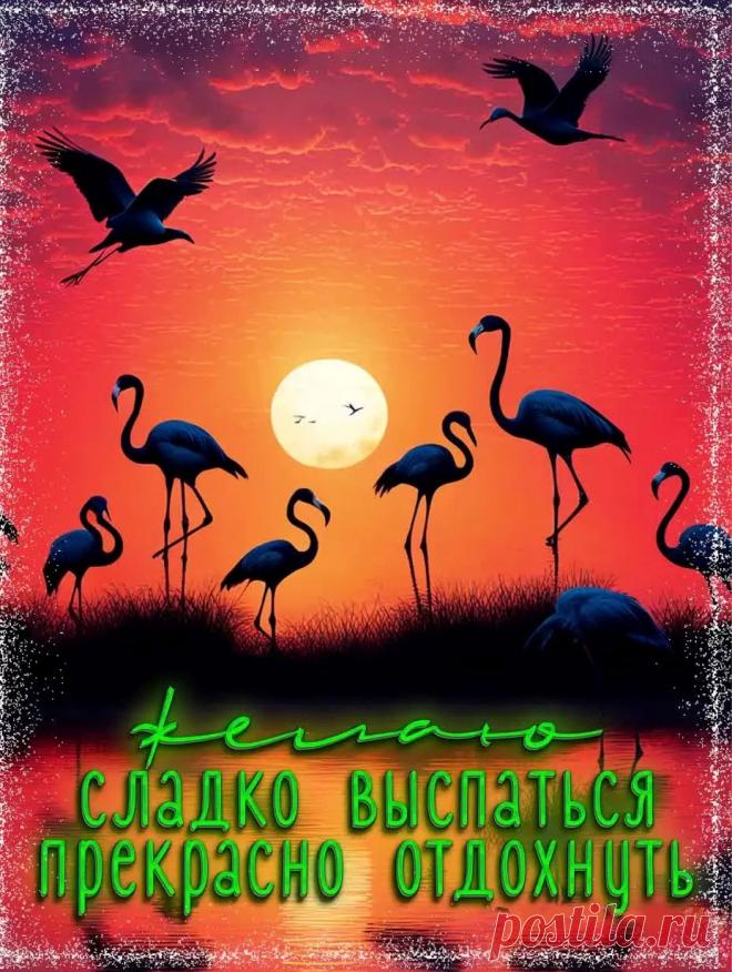 Красивая картинка спокойной ночи с закатом